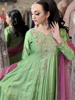 Parrot Green Silk Dress