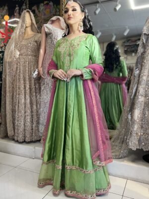 Parrot Green Silk Dress