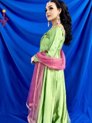 Parrot Green Silk Dress